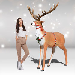 Reindeer for 4-seater Sleigh