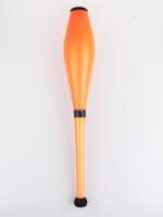 Henrys Pirouette Training